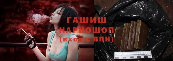 индика Абаза