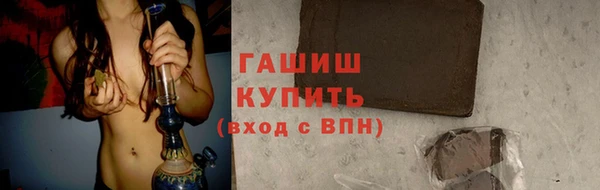 индика Абаза