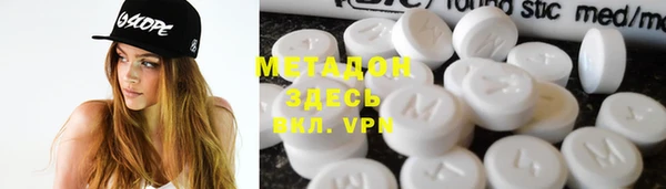 индика Абаза