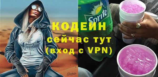 индика Абаза