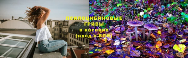 индика Абаза