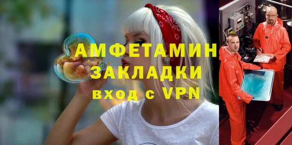 индика Абаза