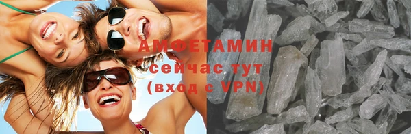 индика Абаза